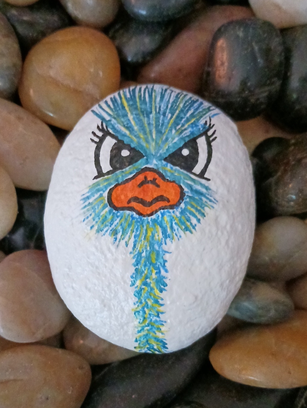 Hand Painted Ostrich Rocks - Picture 5 of 7